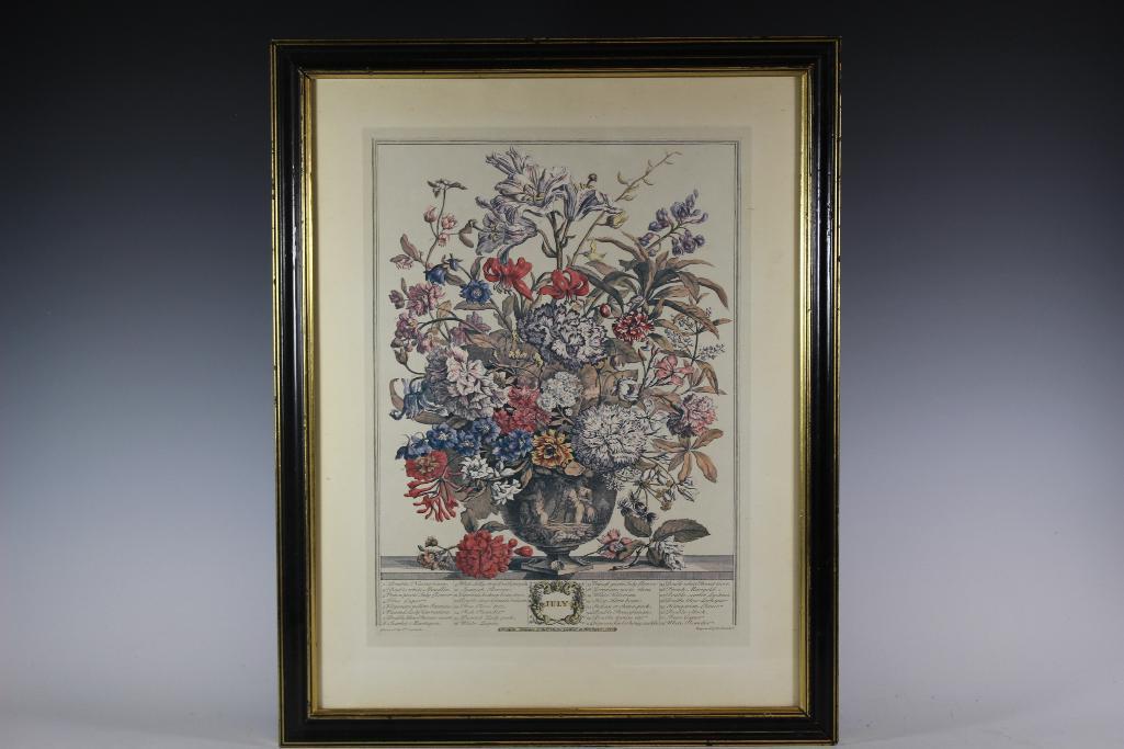 Rob Furber Seed Calendar Print by H. Fletcher: Framed month of July seed botanical print by Rob Furber Engraved by H. Fletcher. 19th century after 1730 catalogue. Vibrant color and well framed as shown. Measuring approx 17.5" wide x 23" tall. See 