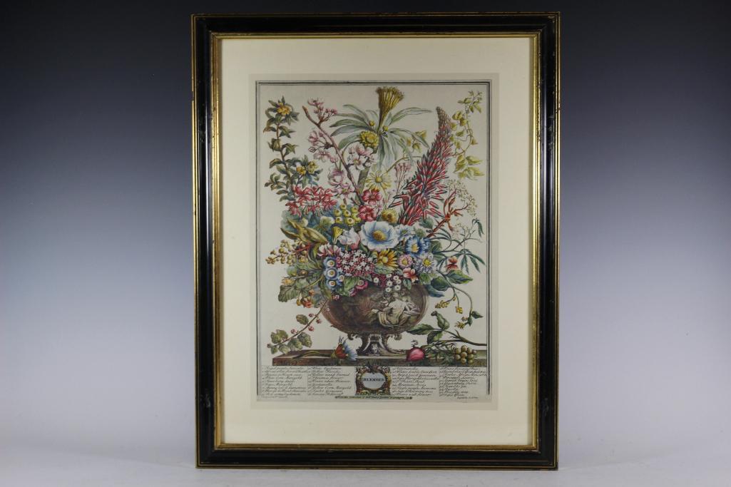 Rob Furber Seed Calendar Print by H. Fletcher: Framed month of December seed botanical print by Rob Furber Engraved by H. Fletcher. 19th century after 1730 catalogue. Vibrant color and well framed as shown. Measuring approx 17.5" wide x 23" tall. 