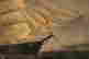 item-112480893=7