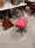 item-121129211=16