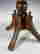 item-121129211=9