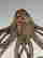 item-121129442=3