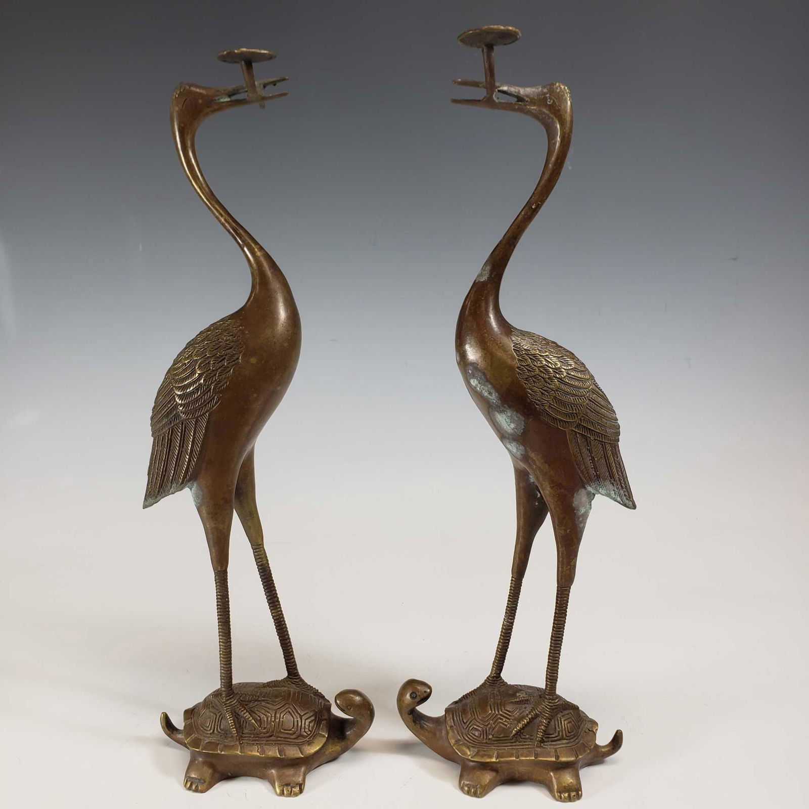 Brass Blue Heron on Turtle Back Statues (2) (1 of 13)
