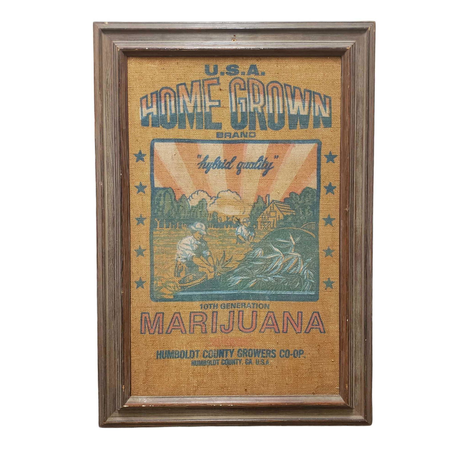 Marijuana Framed 50 Kilo Burlap Sack U.S.A. (1 of 8)