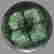 item-128257638=2
