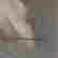 item-128257727=2