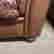 item-128257787=8
