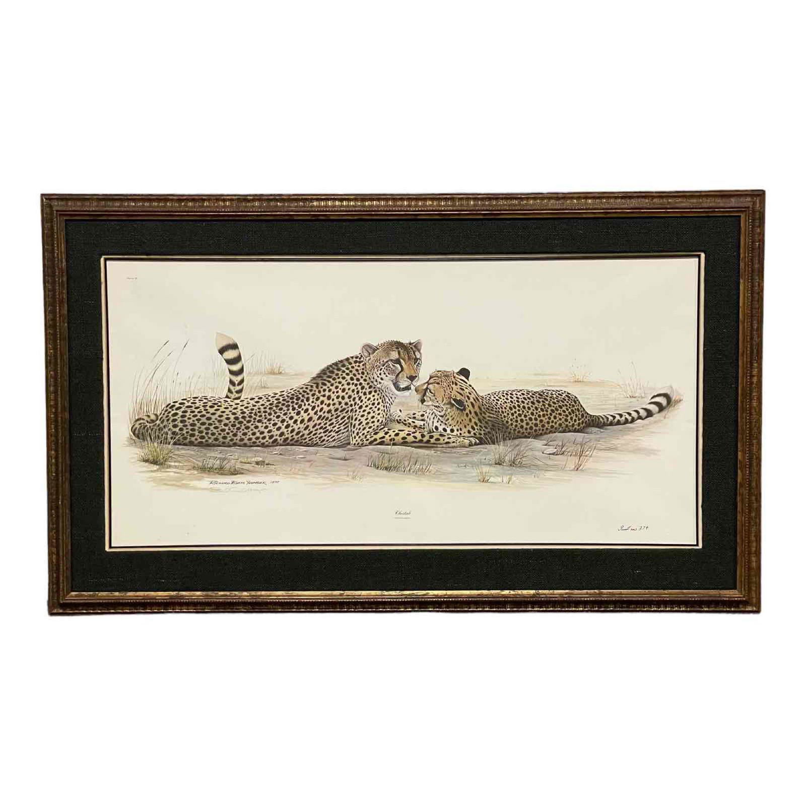 Richard Evans Younger "Cheetah" Signed Print 1972 (1 of 18)
