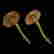 item-136267087=15