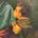 item-136267176=7