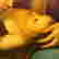 item-136267176=8