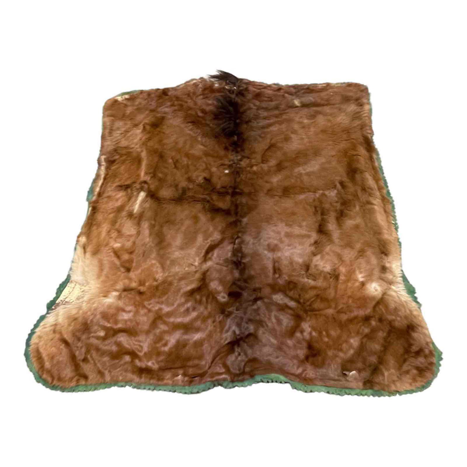 Vintage Animal Fur Stagecoach Lap Blanket (1 of 18)