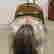 item-136267500=16