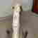 item-136267500=17