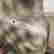 item-136267500=18