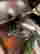 item-136267675=19