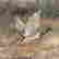 item-136267720=6