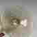 item-137479137=12