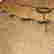 item-137479282=12