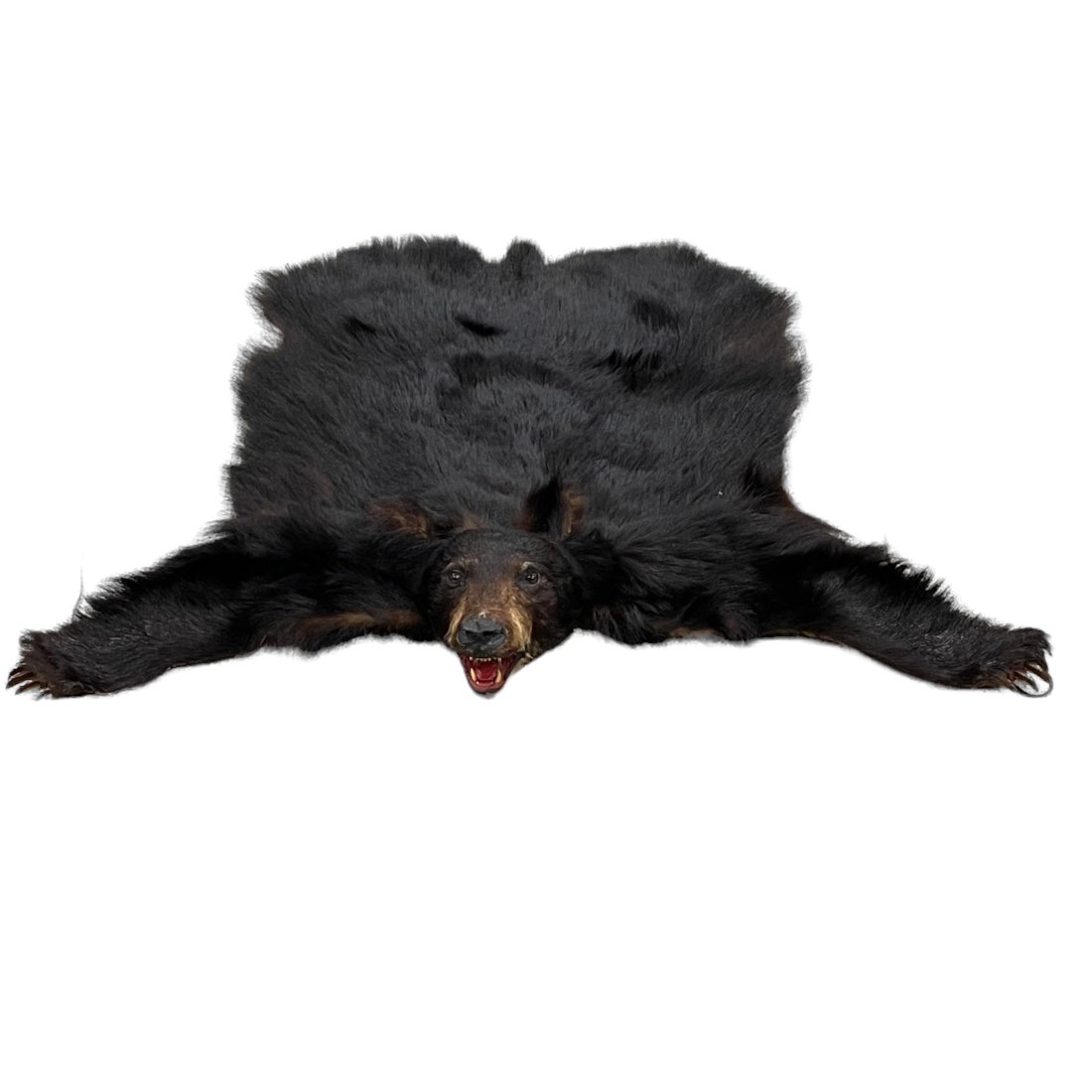 Native American Shaman Bear Full Headdress: Native American Shaman Bear Full Headdress. Black / brown full head headdress as shown, good used condition, see photos