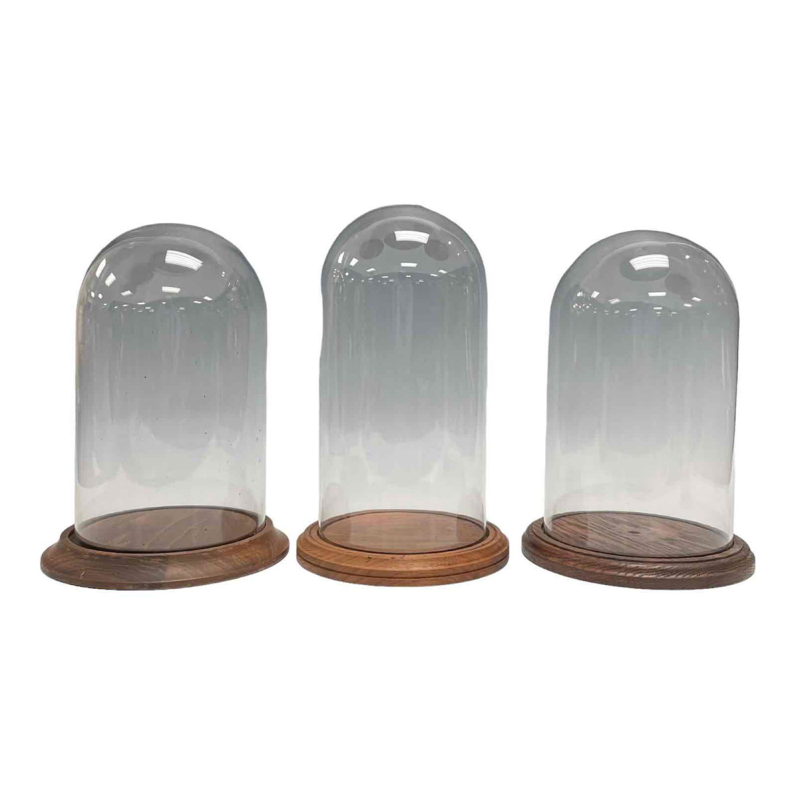 Three Glass Dome Displays on Wooden Bases (1 of 20)