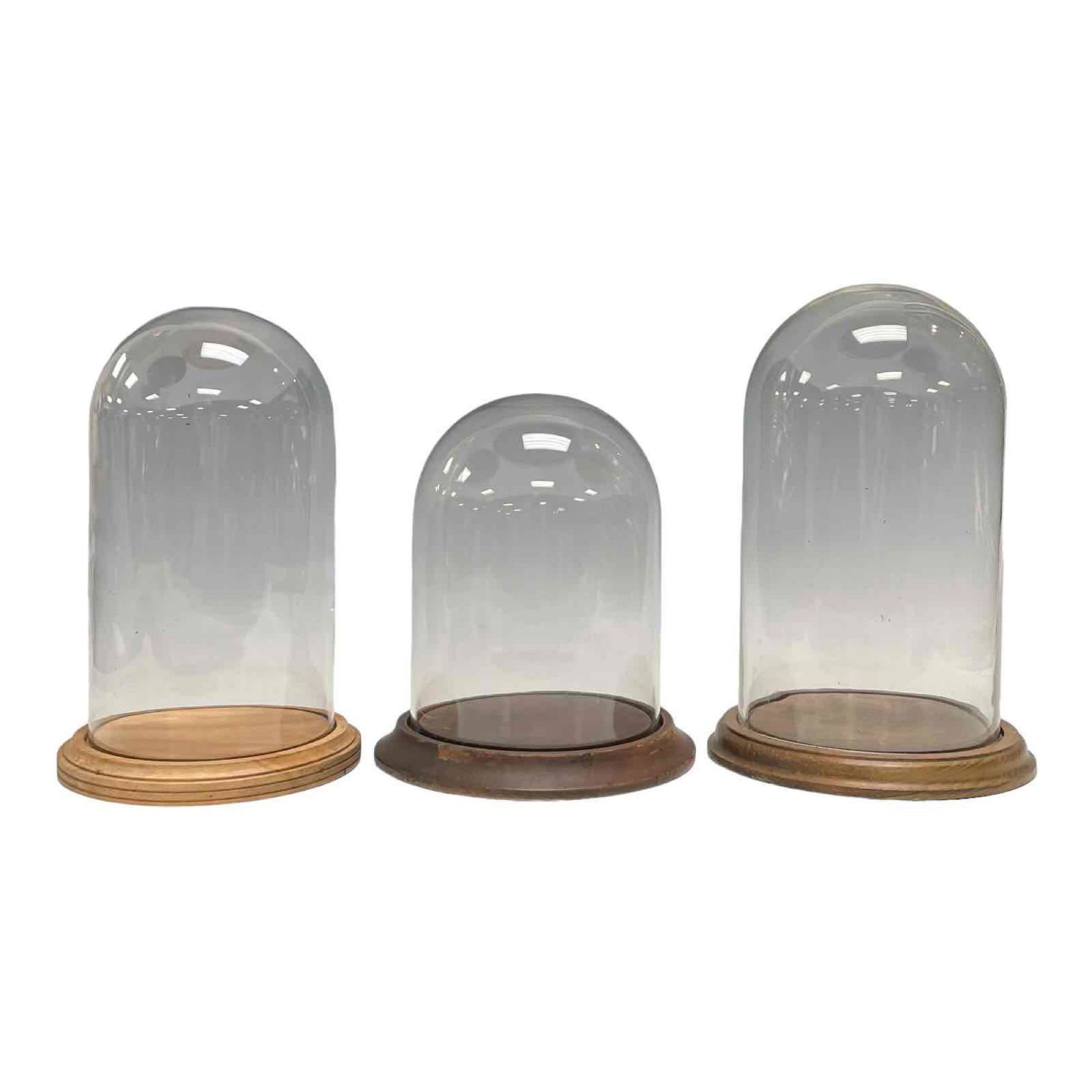 Three Various Glass Domed Displays on Wooden Bases (1 of 20)