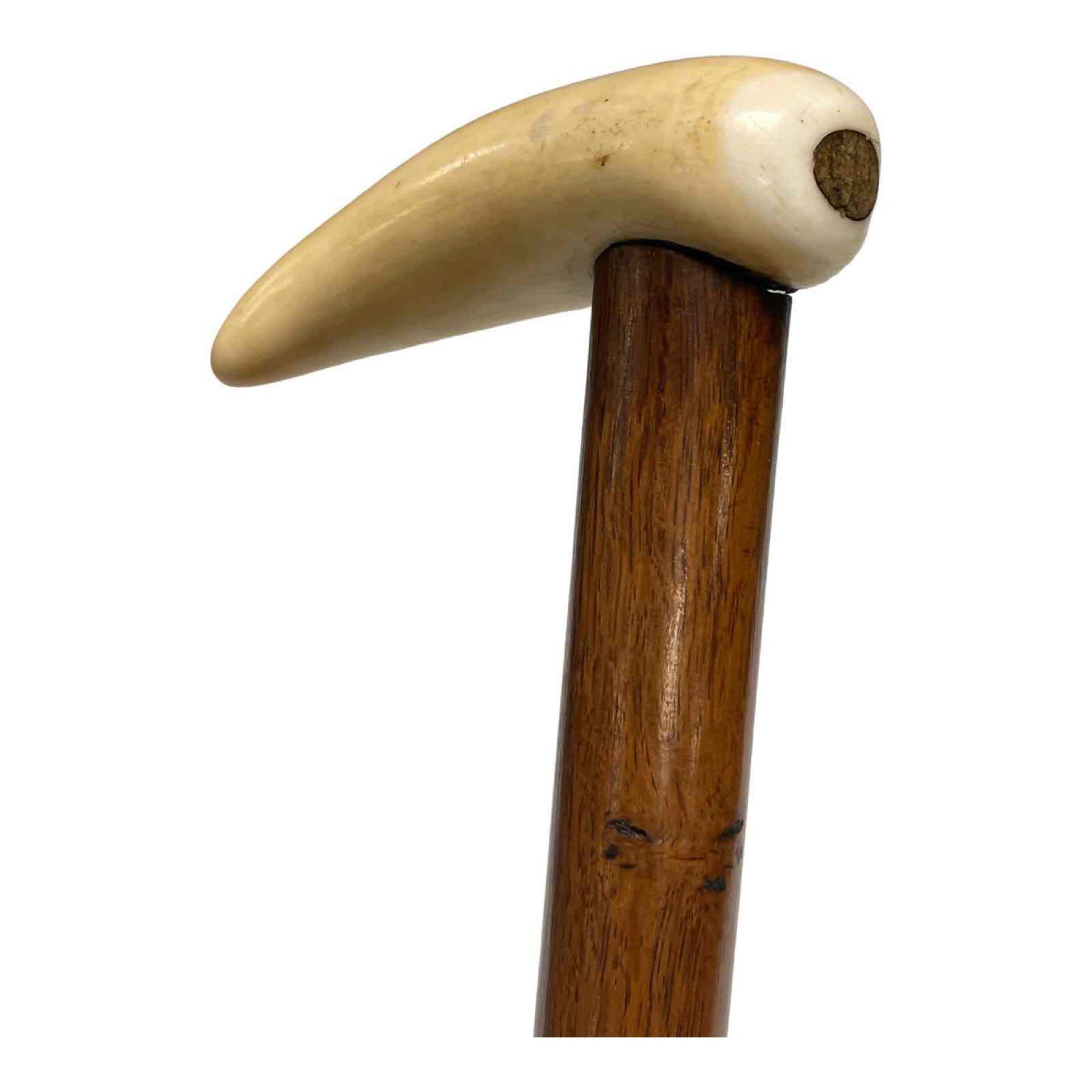 Fine 19th Century Whale Tooth Walking Stick or Cane: A fine whale tooth handled walking cane. Whale tooth mounted on tapered wood shaft. Measuring approx 41" tall with a 3" tooth length. very good overall condition, mid 19th century