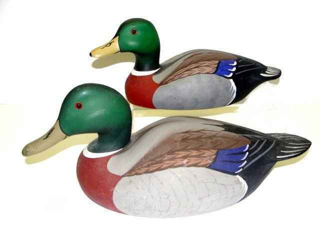 Two Stoney Point Decoy Mallard Duck Decoys: Stamped on bottom STONEY POINT DECOYS. One signed Raymond E Hornick with button # 04795. Condition very good, larger one has a nicks in tail feathers. L. 15'' and 11 1/2'' ( From Harding Estate)