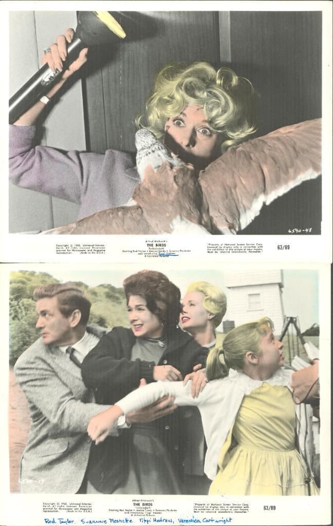 Tippi Hedren - The Birds - original stills (1 of 10)