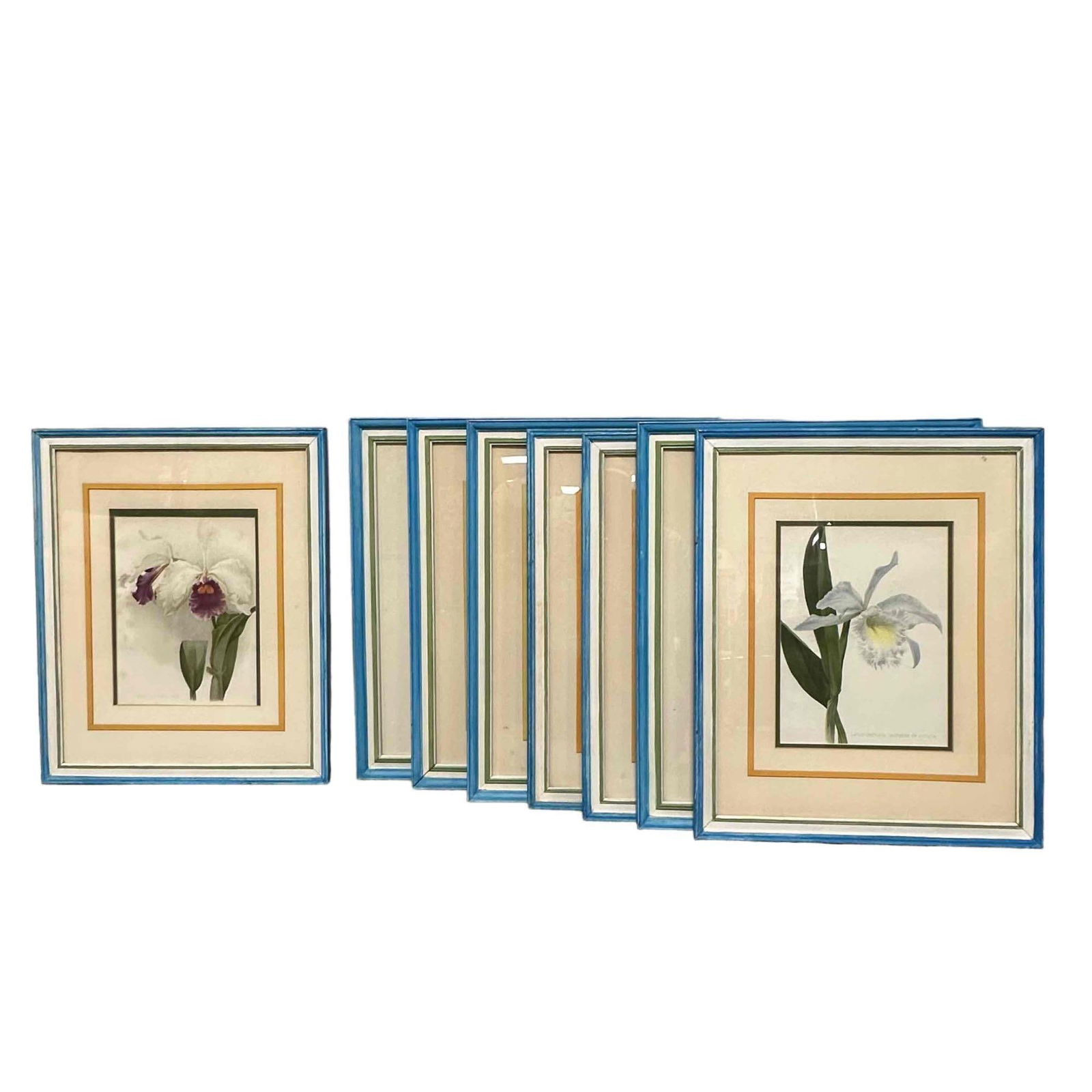 Eight (8) Decoratively Framed Floral Colored Lithographs (1 of 15)