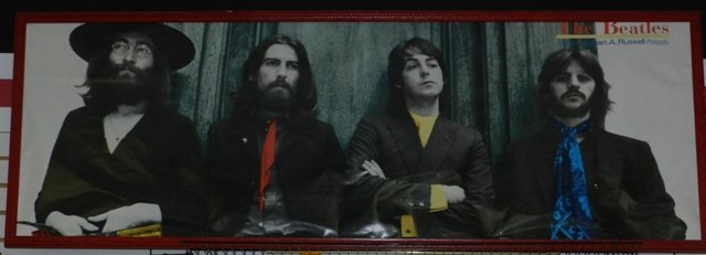 Vintage Ethan Russel Beetles Poster: Approx 73.5" x 26.5" including the frame its contained in. Condition is good.
