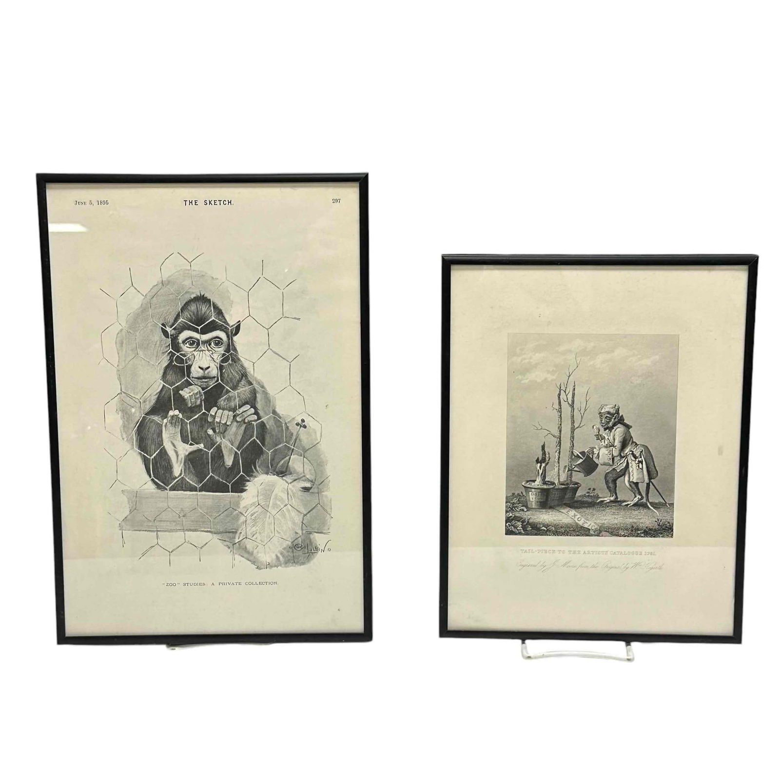 Antique Gilt Framed Monkey Engraving 1761 J Moore/ William Hogarth (1 of 15)