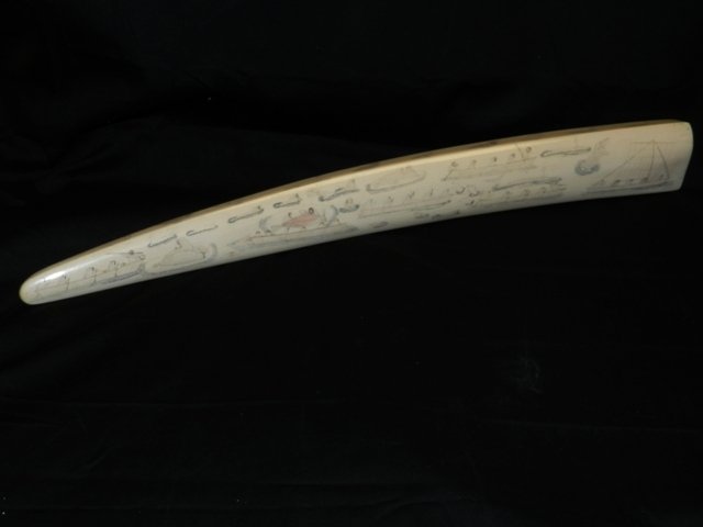 Scrimshaw Eskimo Walrus Tusk: Very unique Eskimo etched with a scrimshaw, dog sleds, wild animals deplicting a whale and walrus hunting Eskimos. Both sides with various related etched scenes as shown. Condition is good. Length: 23