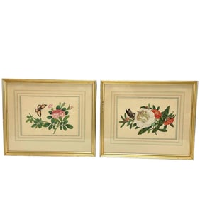 Chinese Export Butterfly and Botanical Paintings