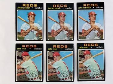 1971 Topps #100 Pete Rose (3) and #250 Johnny Bench (3)
