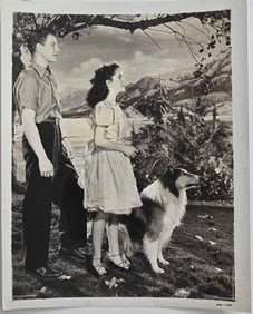 Courage of Lassie - Movie Stills