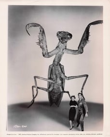 The Deadly Mantis - Stills