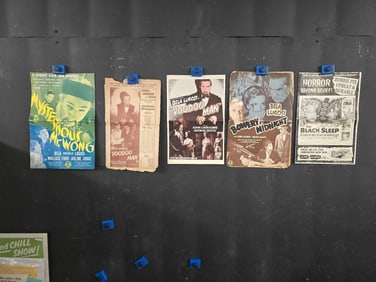 Bela Lugosi / Boris Karloff Pressbooks