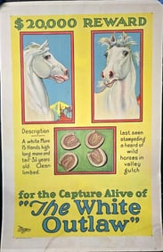 The White Outlaw - One Sheet