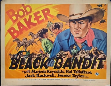 Black Bandit - Half Sheet