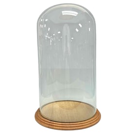 Large Glass Dome on Base