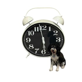 Fun and Funky Giant Alarm Clock Display
