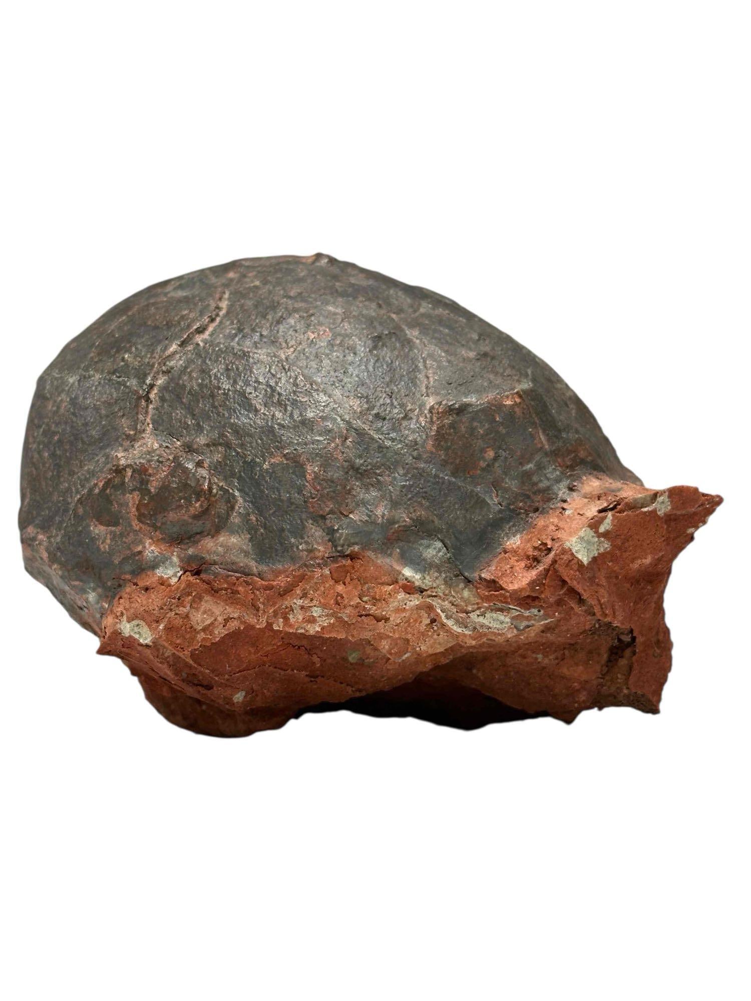 Fossilized Prehistoric Dinosaur Egg (1 of 14)