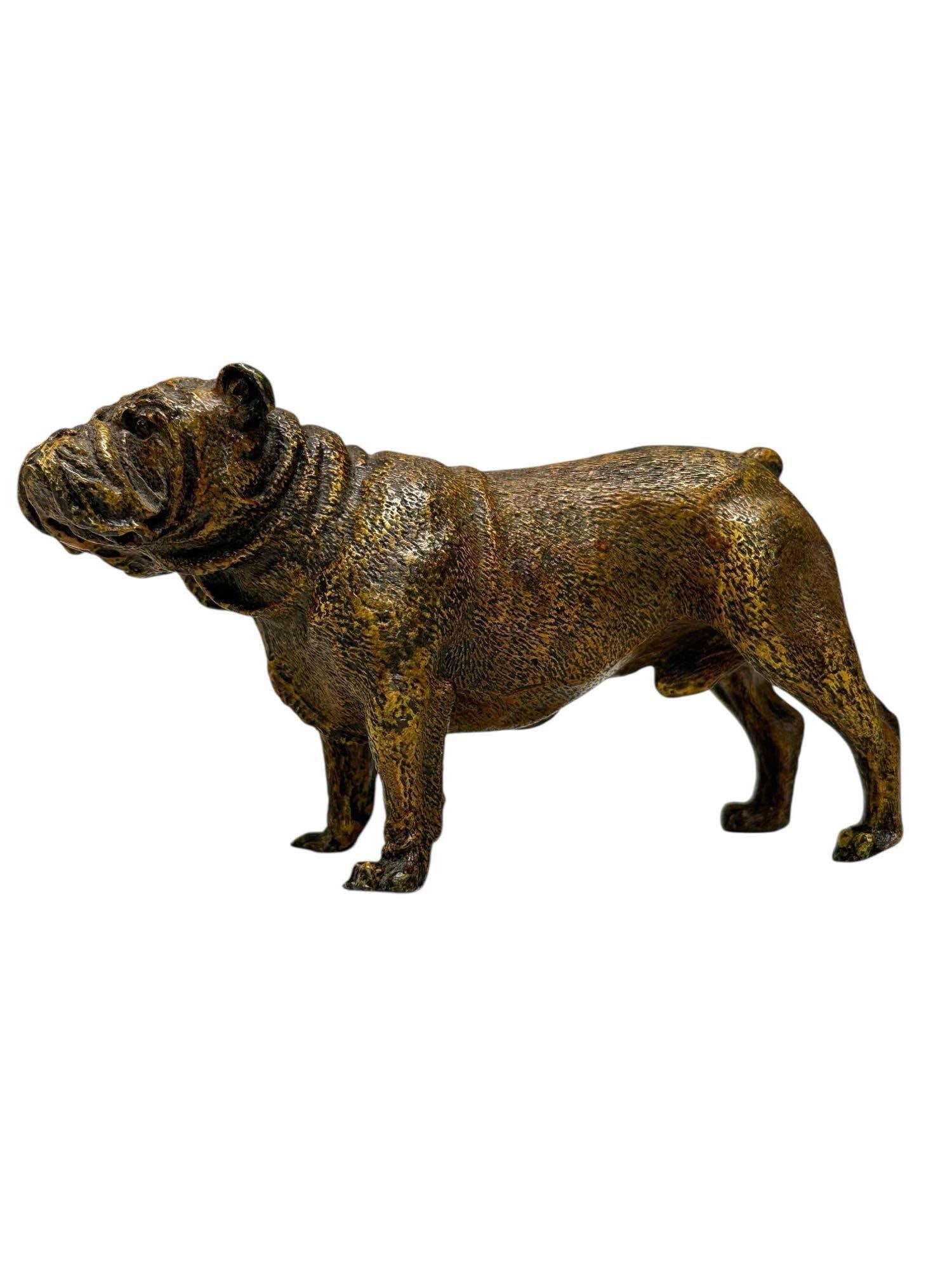 Franz Xavier Bergman Vienna - Geschutzt Bronze Bulldog (1 of 16)