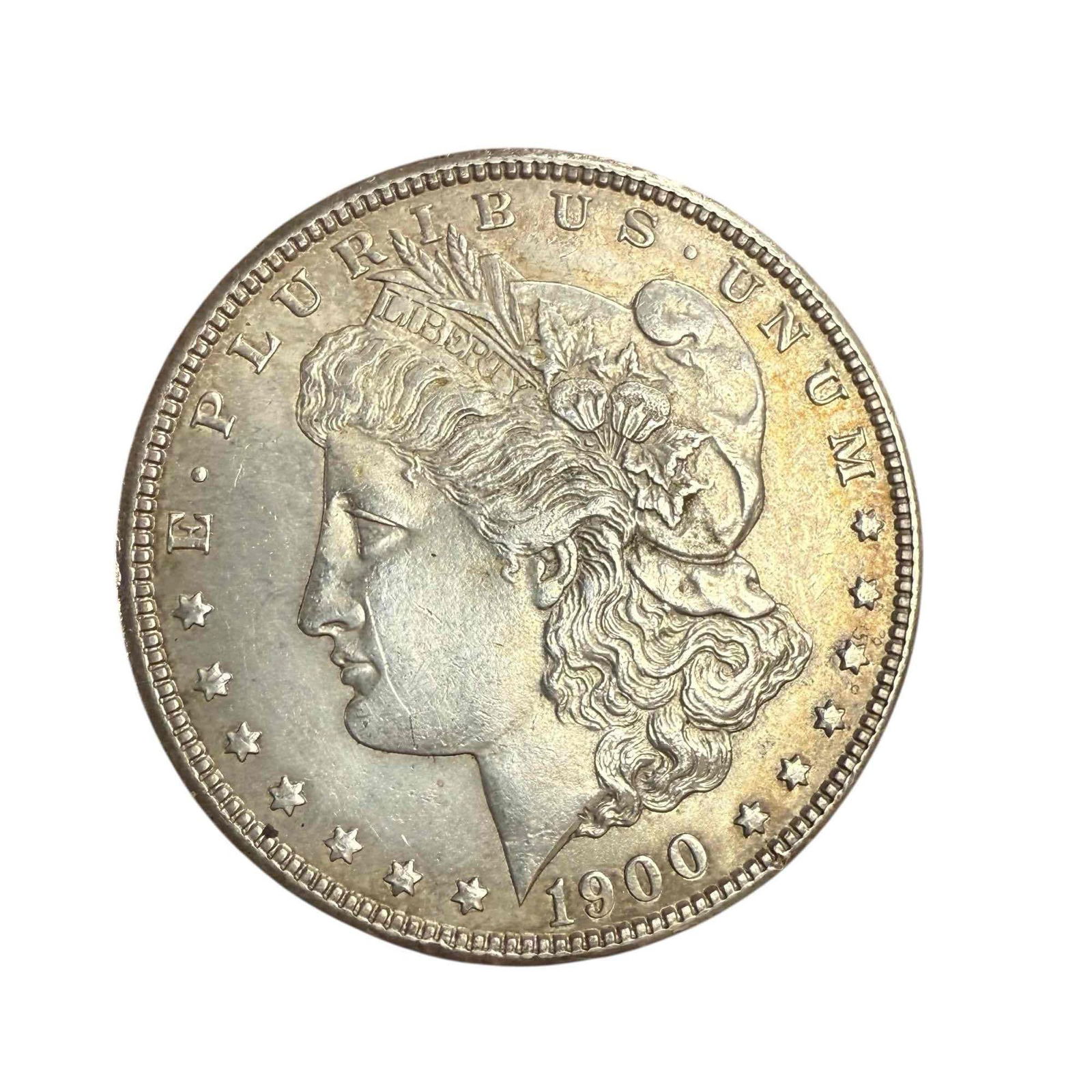 1900 Morgan Silver Dollar (1 of 9)