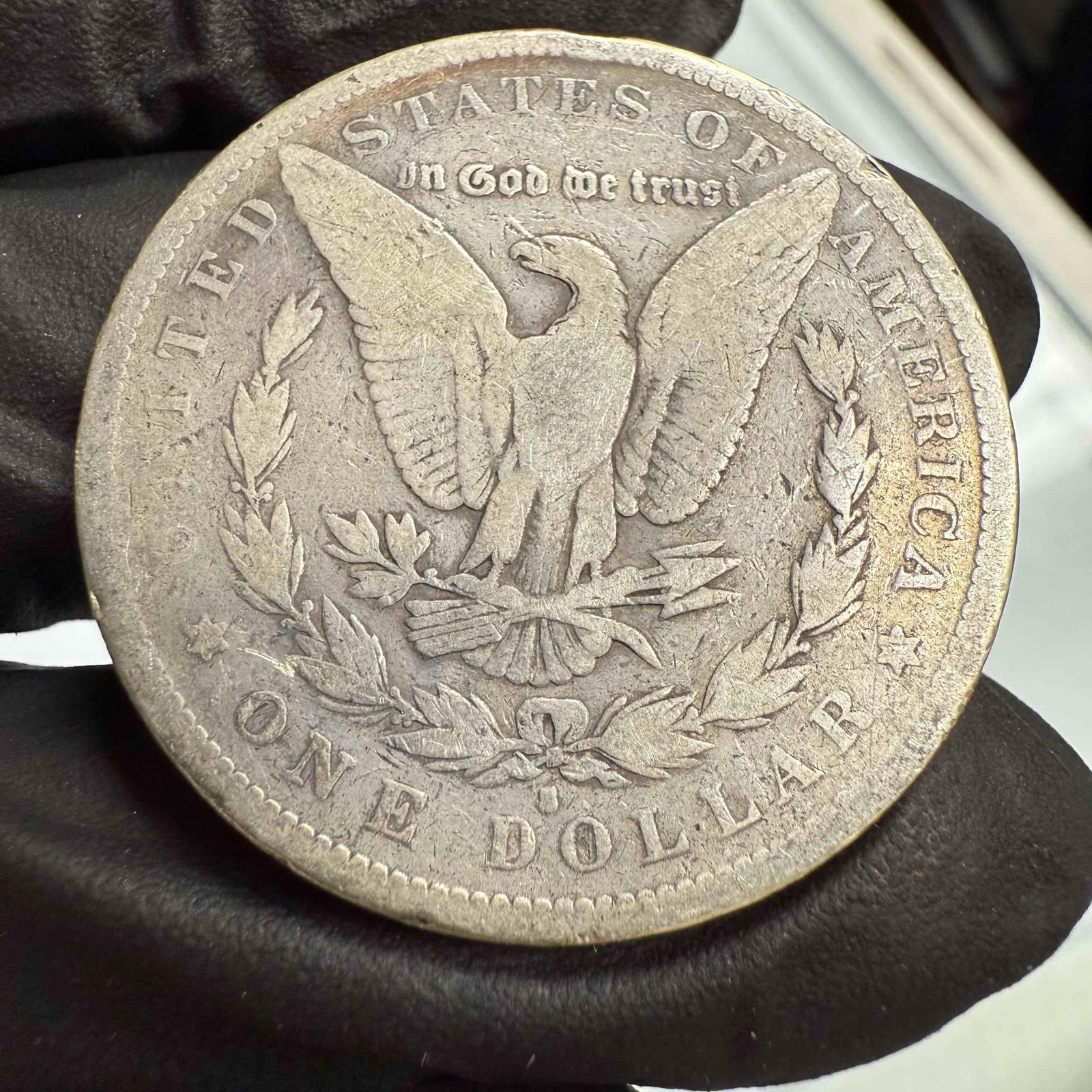 1880 to 1887 Morgan Silver Dollars (4) - 11