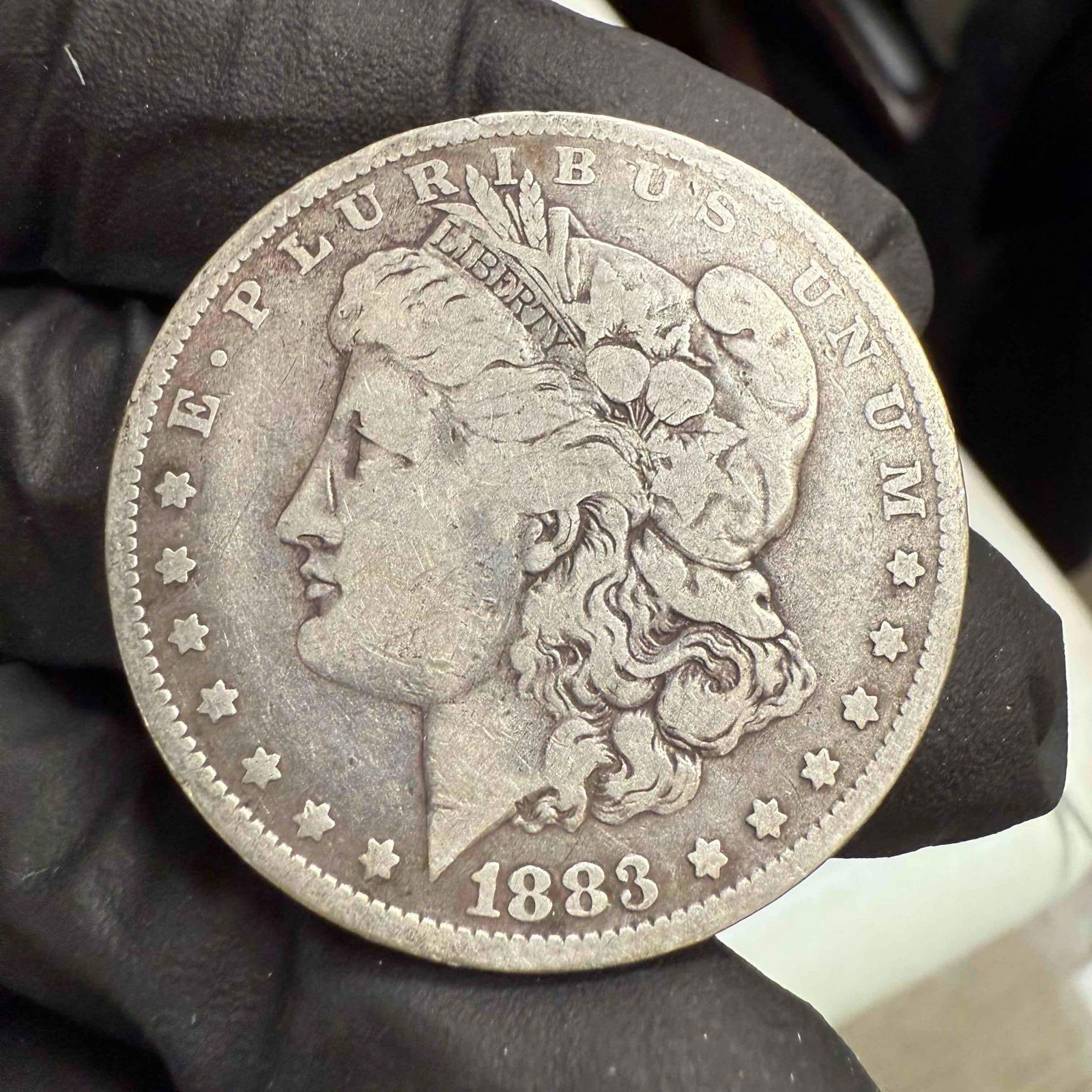 1880 to 1887 Morgan Silver Dollars (4) - 8