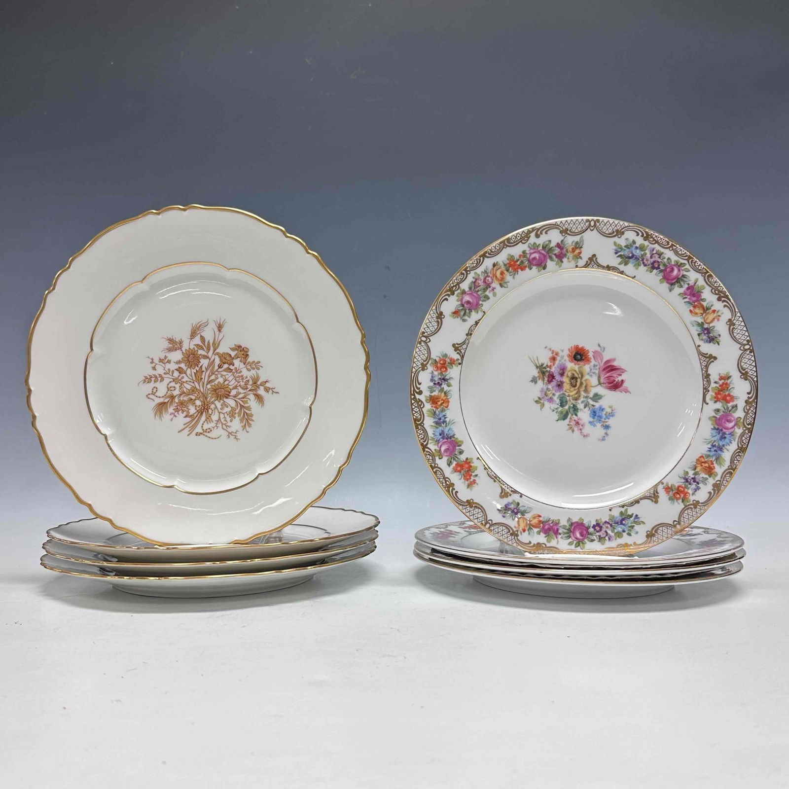 Limoges and Bavaria Dinner Plate Lot (1 of 17)