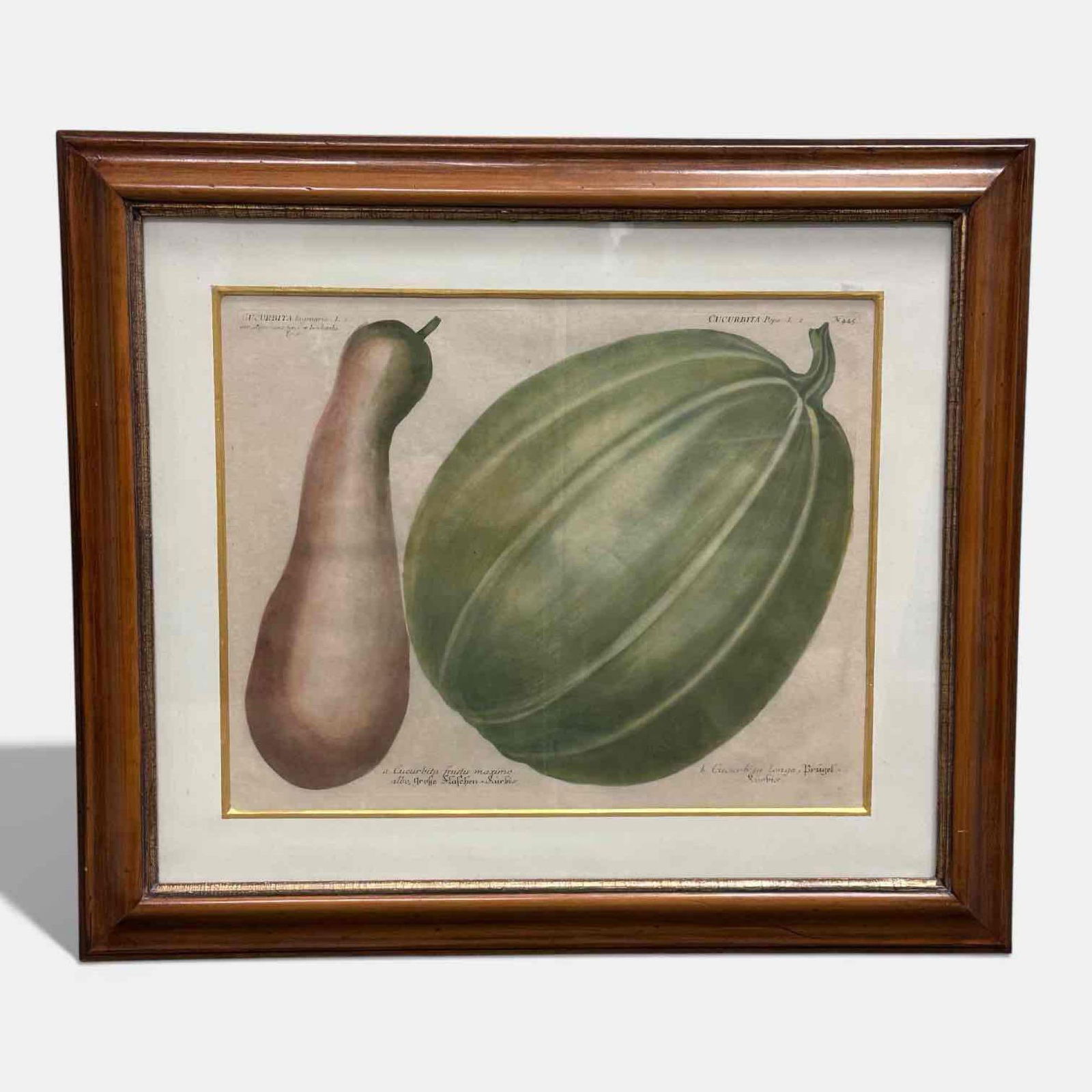 Johann Wilhem Engraving Print (1 of 20)