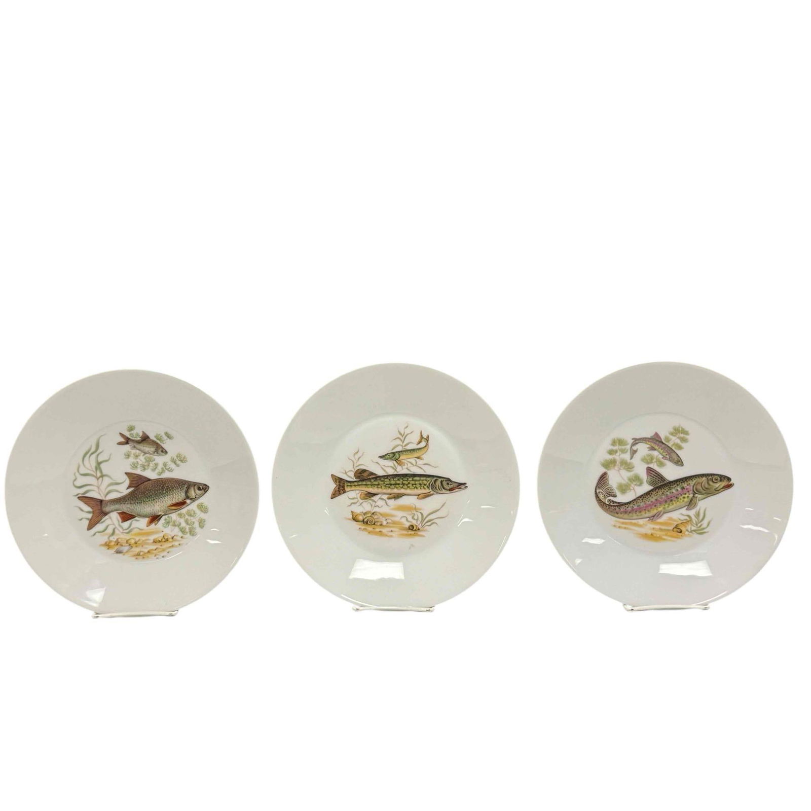 H and C Heinrich Bavaria Karlsbad Fish Plate (3): Set of three H and C Heinrich Karlsbad fish plate depicting muskies, rainbow trouts and carp all in under water background with seaweed and shells. Measuring approx. 9.5" diameter. In good condition